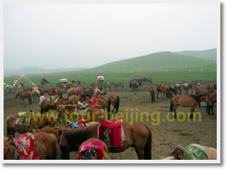 Beijing Mulan Weichang Grassland Chengde 3 Days Tour